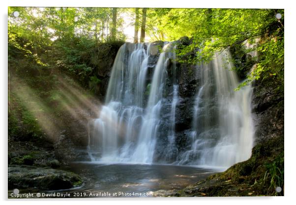 Glenariff Waterfall Acrylic by David Doyle