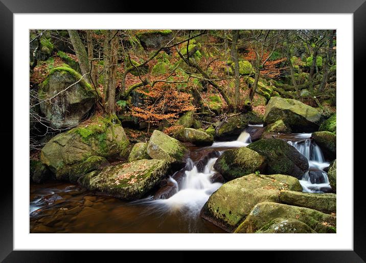 Padley Gorge                        Framed Mounted Print by Darren Galpin