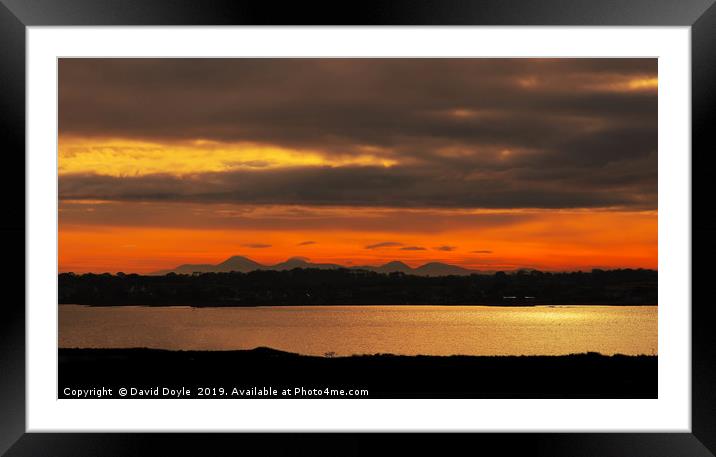 Copeland Islands Sunset Framed Mounted Print by David Doyle