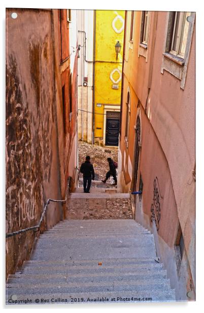 Street Scene, Coimbra Acrylic by Roz Collins