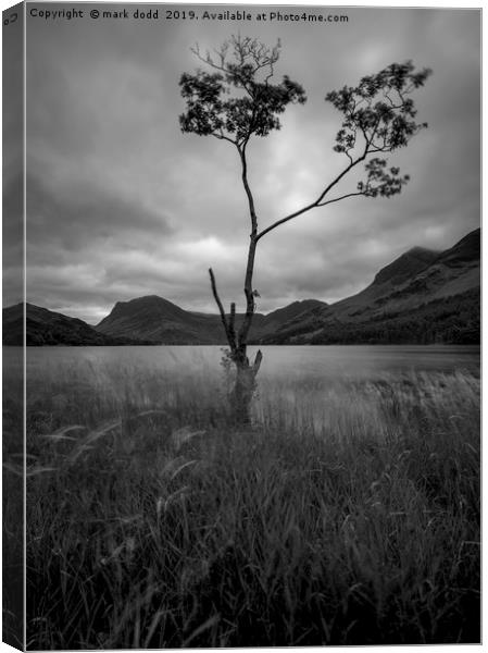 Buttermere Lake Canvas Print by mark dodd