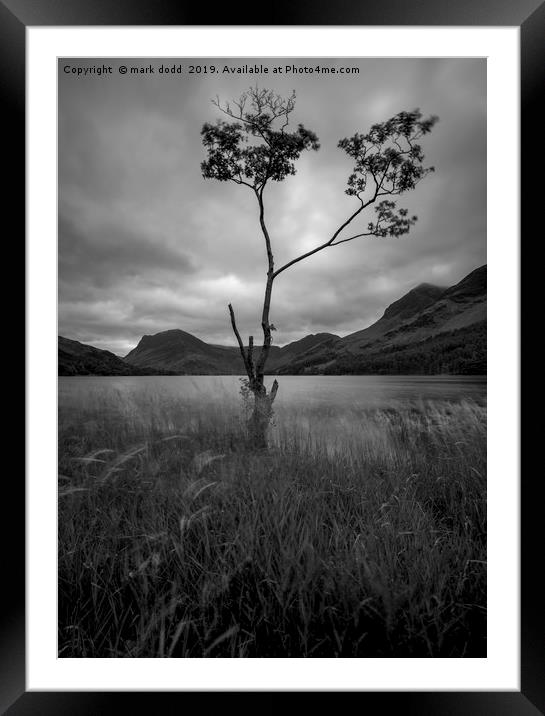 Buttermere Lake Framed Mounted Print by mark dodd