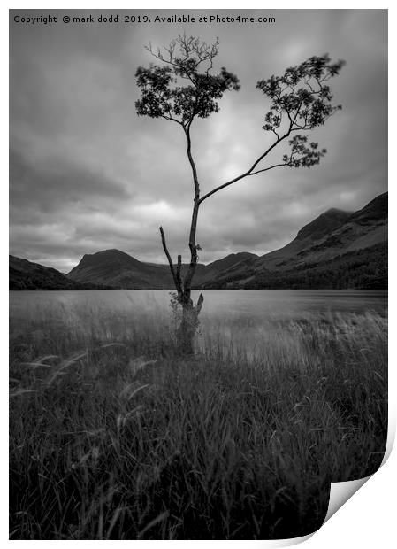 Buttermere Lake Print by mark dodd