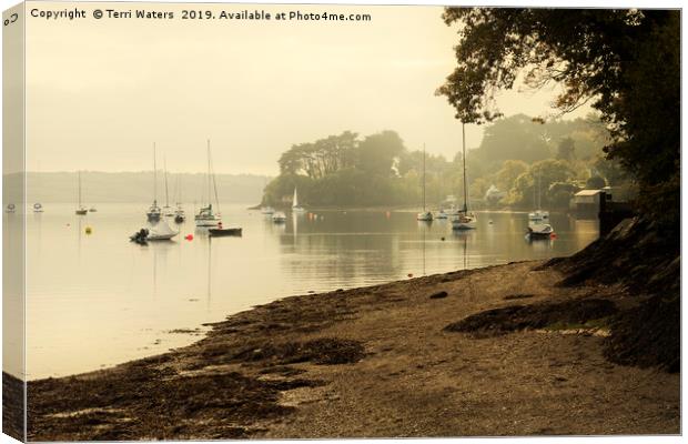 Misty Morning at Restronguet Weir Canvas Print by Terri Waters