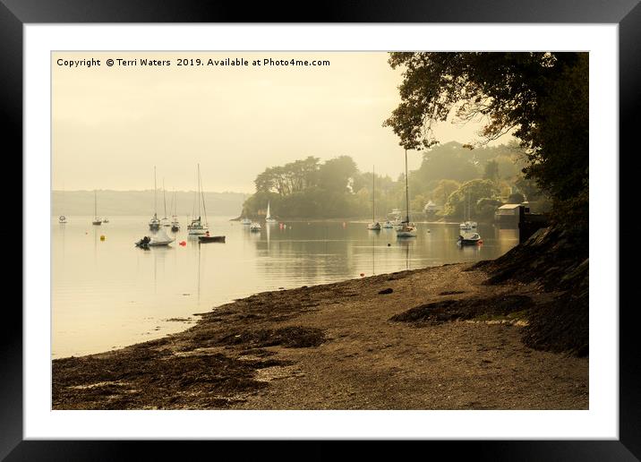 Misty Morning at Restronguet Weir Framed Mounted Print by Terri Waters
