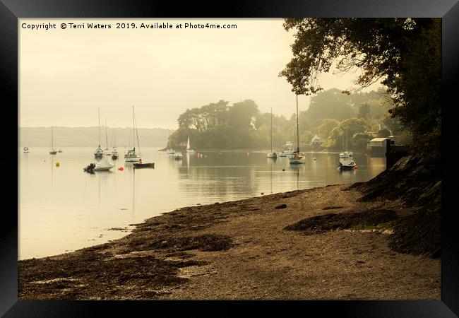 Misty Morning at Restronguet Weir Framed Print by Terri Waters