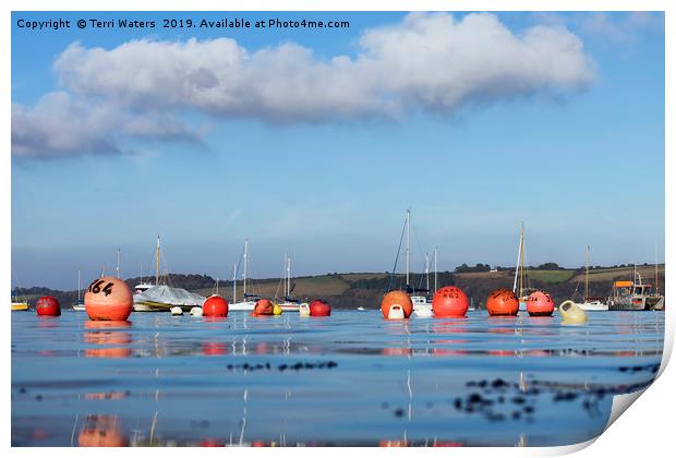 Winter In Carrick Roads Print by Terri Waters