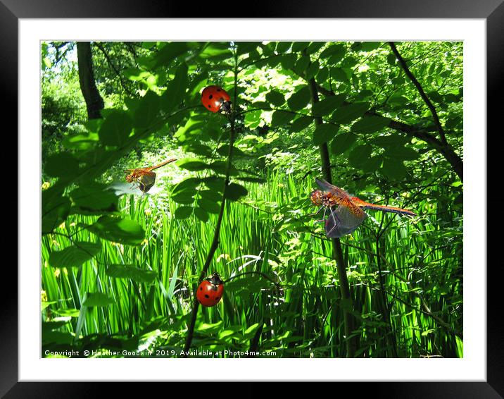 Bugs Hoe Down Framed Mounted Print by Heather Goodwin