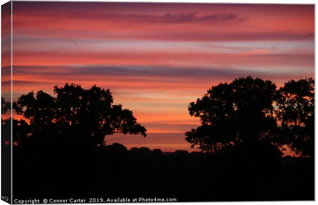 Sunrise with the trees Canvas Print by Connor Carter