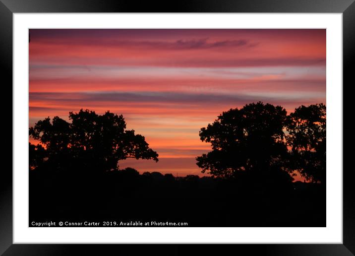 Sunrise with the trees Framed Mounted Print by Connor Carter