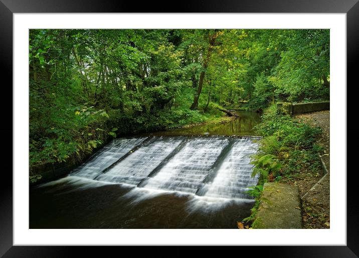 River Loxley Weir                       Framed Mounted Print by Darren Galpin