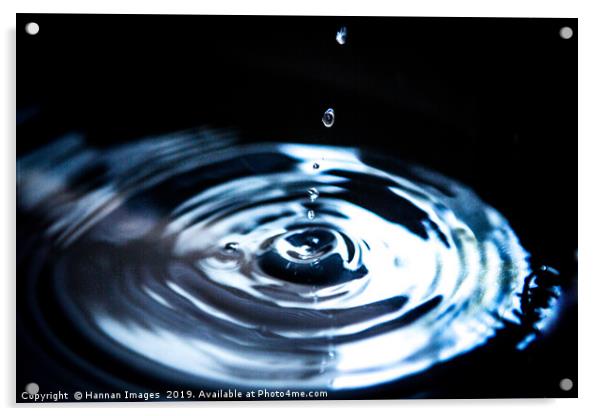 Water drop ripple Acrylic by Hannan Images
