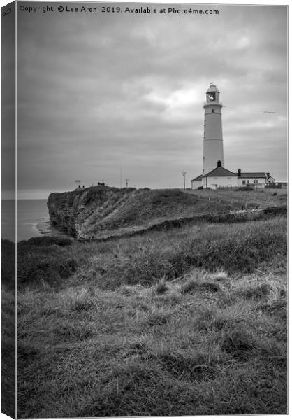 Nash Point Lighthouse  Canvas Print by Lee Aron