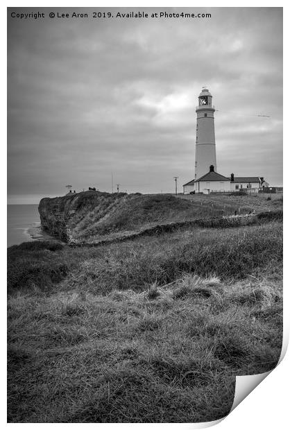Nash Point Lighthouse  Print by Lee Aron