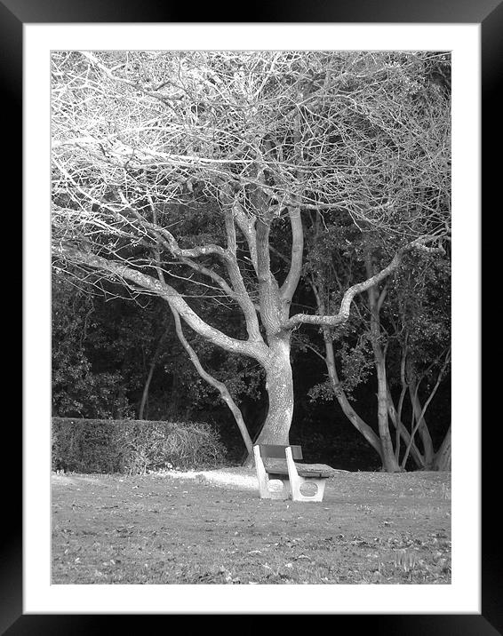 Bench under spooky tree Framed Mounted Print by kelly Draper