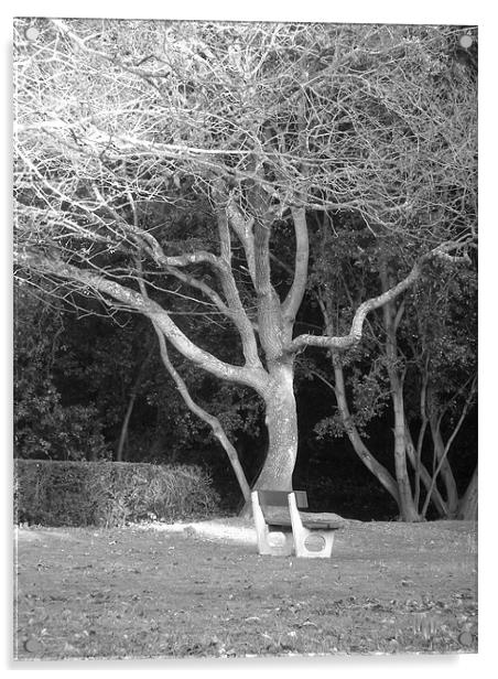 Bench under spooky tree Acrylic by kelly Draper