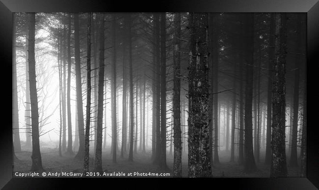 Winter Forest Fog Framed Print by Andy McGarry