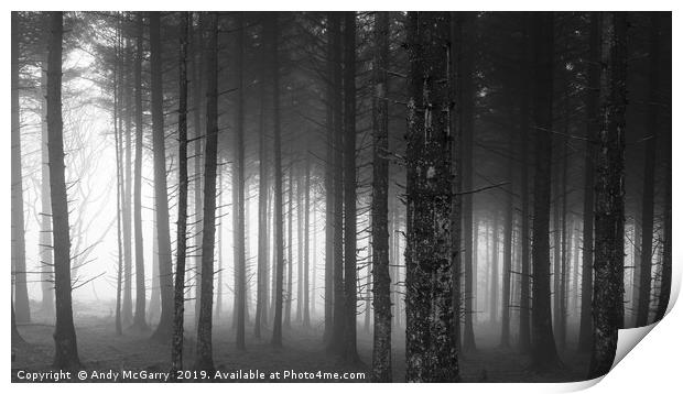 Winter Forest Fog Print by Andy McGarry