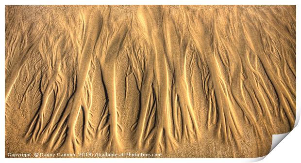Patterns In The Sand Print by Danny Cannon