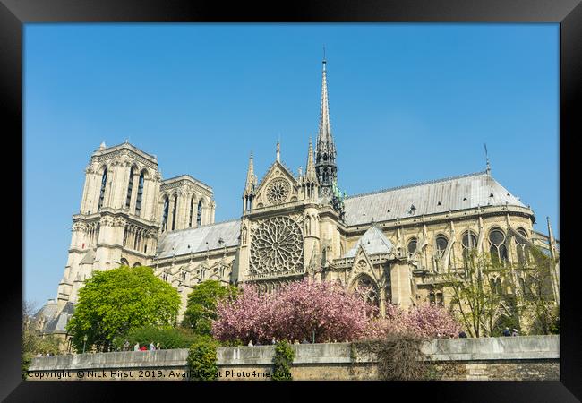 Notre Dame in the Spring Framed Print by Nick Hirst