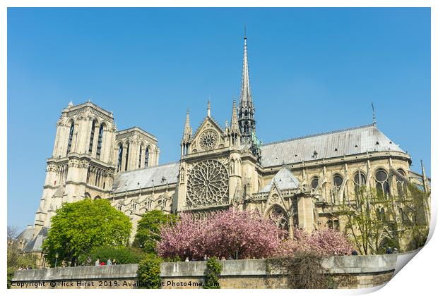 Notre Dame in the Spring Print by Nick Hirst