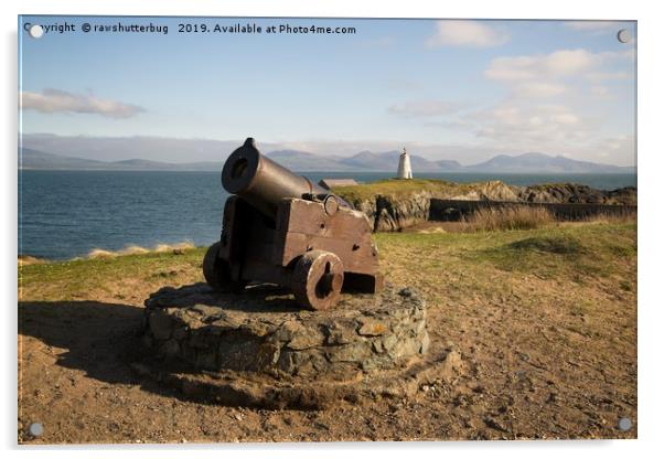 Cannon On Llanddwyn Island Acrylic by rawshutterbug 