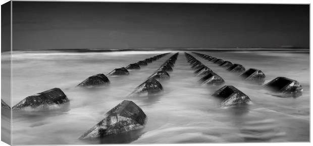 The Groynes Canvas Print by Ray Tickle