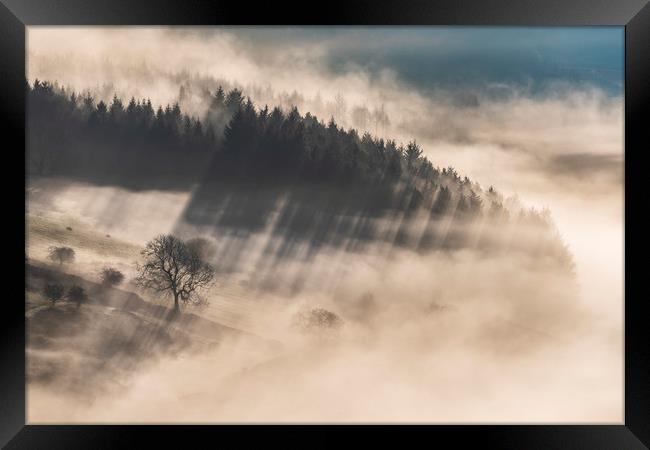 Woodland in the mist near Chatsworth Framed Print by John Finney