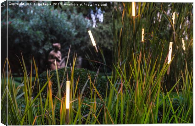 Light Vision in the Garden #1 Canvas Print by Claudio Lepri