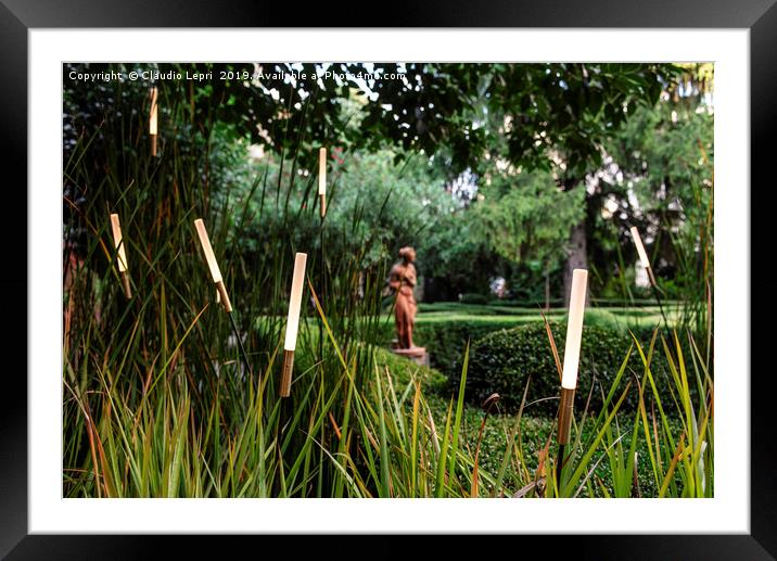 Light Vision in the Garden #3 Framed Mounted Print by Claudio Lepri