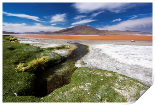 Atacama Desert, Bolivia Print by Phil Spalding