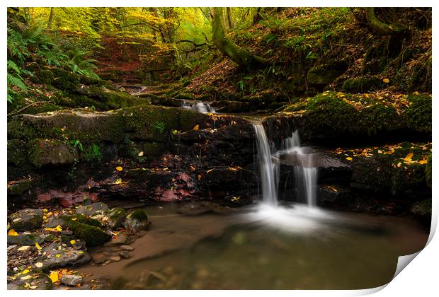 Clydach Gorge Falls Print by Eric Pearce AWPF