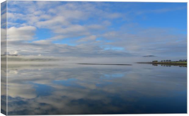 Magical morning in Dingle Canvas Print by barbara walsh