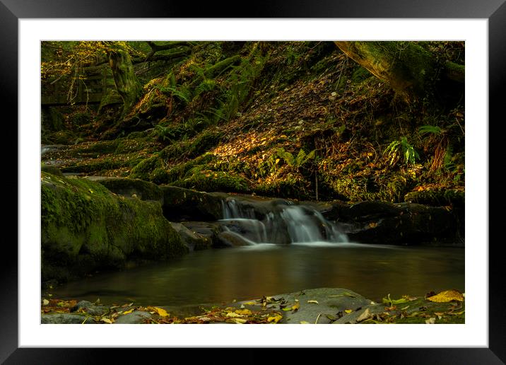 Sunlit Falls Framed Mounted Print by Eric Pearce AWPF