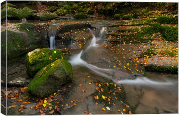 Leaves in the flow for the Clydach falls Canvas Print by Eric Pearce AWPF