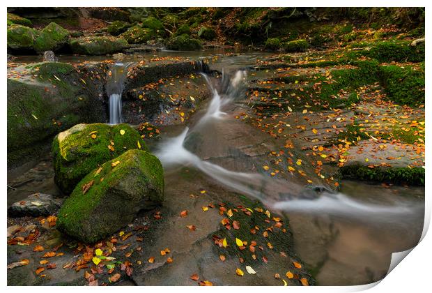 Leaves in the flow for the Clydach falls Print by Eric Pearce AWPF