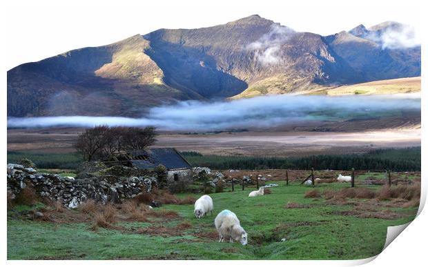 Beautiful morning at the Valley Print by barbara walsh