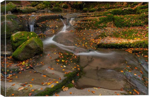 The Autumn leaves at Clydach gorge Canvas Print by Eric Pearce AWPF