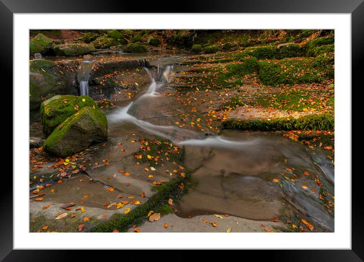 The Autumn leaves at Clydach gorge Framed Mounted Print by Eric Pearce AWPF