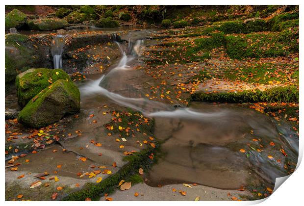 The Autumn leaves at Clydach gorge Print by Eric Pearce AWPF