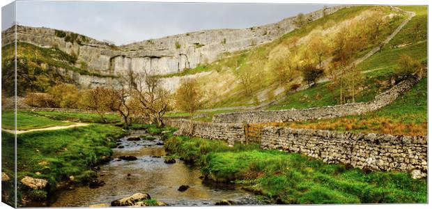  Approaching Malham Cove  Canvas Print by Diana Mower