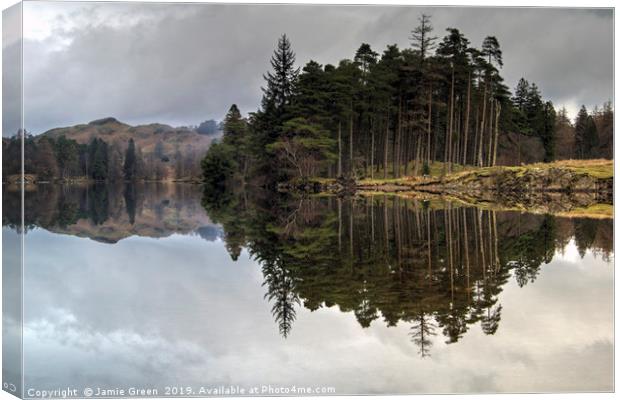 Reflections in Tarn Hows Canvas Print by Jamie Green