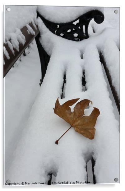 oak leaf on new snow Acrylic by Marinela Feier
