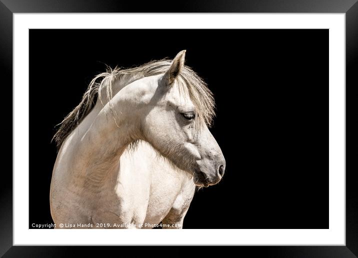White Pony Framed Mounted Print by Lisa Hands