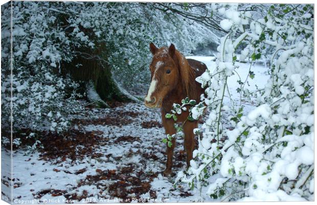 New Forest Pony Canvas Print by Nick Keown