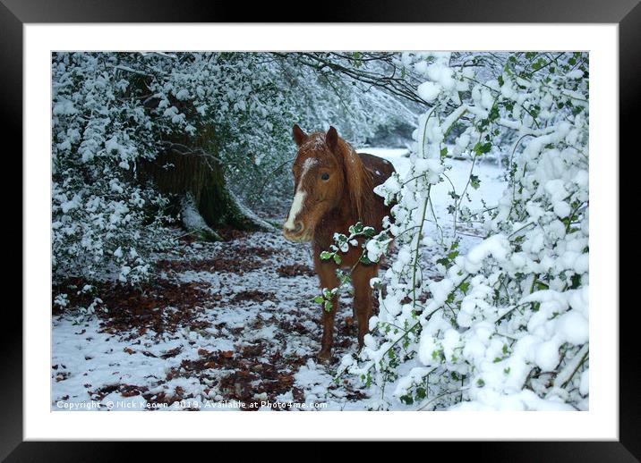New Forest Pony Framed Mounted Print by Nick Keown
