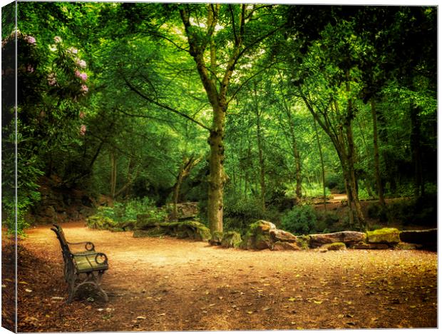 Bench of peace Canvas Print by Jonathan Thirkell