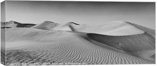 Leading Lines of the Dunes of Dubai Canvas Print by James Aston