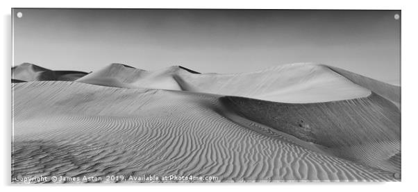 Leading Lines of the Dunes of Dubai Acrylic by James Aston