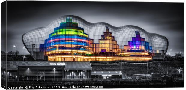 The Sage Colour Popped Canvas Print by Ray Pritchard